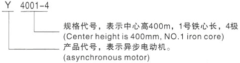 西安泰富西玛Y系列(H355-1000)高压YKS5602-8/900KW三相异步电机型号说明